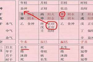 八字测学历高低(八字测学历)