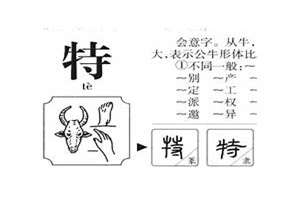 特字起名寓意(以特字起名)