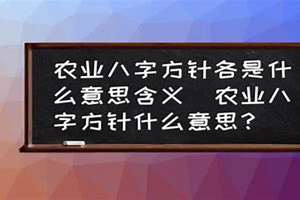 八字方针是什么意思?(八字方针是什么)