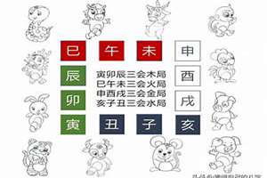 三会局八字案例(三会局的富翁八字)