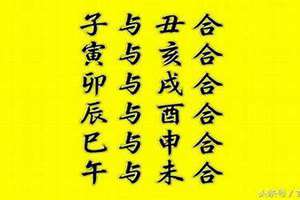 八字相合查询(八字合六字)