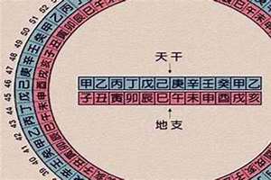 98年什么命五行什么命(98年什么命)