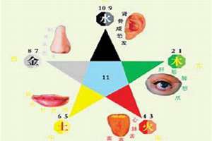 人的五行面相特征(人的五行面相)