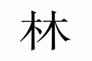 姓林起名字最好的名字是(姓林起名)