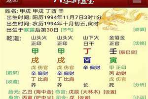 丁酉日八字案例(丁酉日八字)