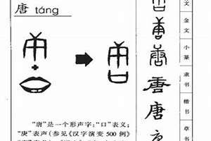 唐字起名男孩(唐字起名)