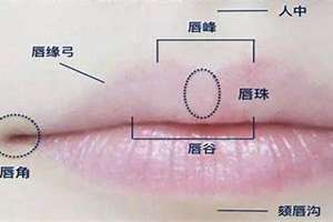 唇窝面相学(唇下窝面相)