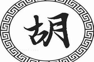 胡男孩名字取什么名字(以胡男起名)