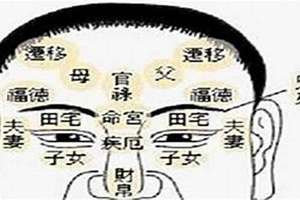 好运男人面相图片(好运男人面相)