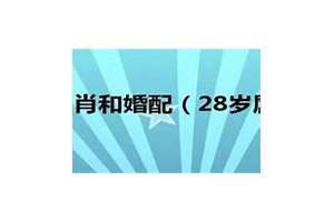 28岁属什么生肖2024年(28岁属什么生肖)