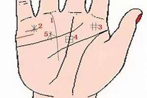 四条掌纹女性面相分析(四条掌纹女性面相)