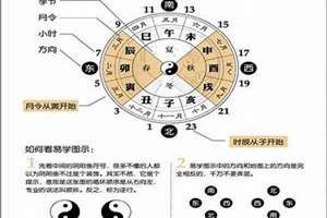 食字的演变过程(八字的演变)