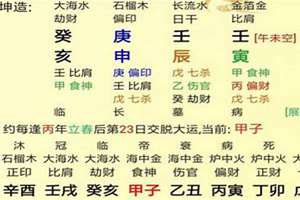 壬申日八字100例(壬申日八字)