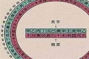 生辰八字八字是哪八个字(八字是哪八个字)