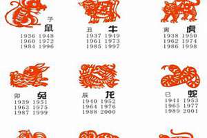 1990年属什么生肖(89年属什么)