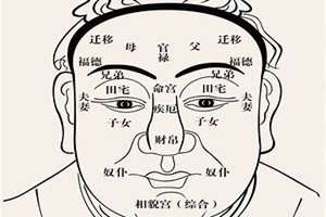 面相学12宫位(12宫位面相解析)
