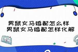 1990属马的婚姻配对最佳(1990属马的婚姻)