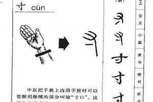 寸起名两个字(寸起名)