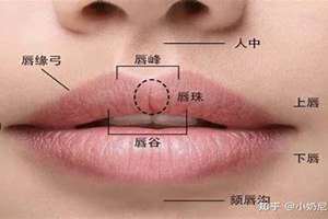 面相学唇(唇我面相)