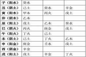 八字财富对照表免费(八字财富对照表)