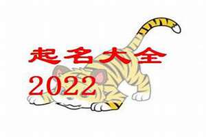 2022虎宝宝起名字(2022虎宝宝取名宜用字)