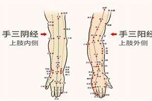 上肢下肢都是手是什么生肖锦衣卫(上肢下肢都是手是什么生肖)