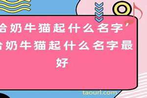 奶牛取名字(奶牛起名字)