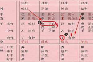 清贵八字实例(清贵八字)