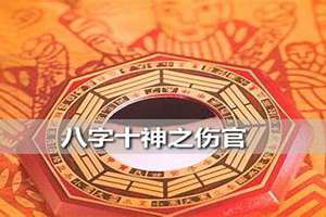 八字十神伤官(八字十神伤)