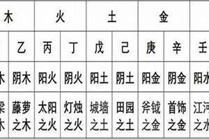 八字提要戊日子月(八字提要戊日)