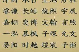 姓李起名字男孩名字大全(姓李起名字男孩名字)