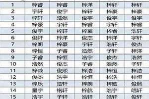 女孩起名100分的名字