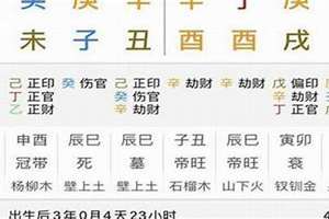 丙午丁未五行属什么(丁未五行属什么)