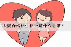 什么夫妻面相相生相合不能结婚(什么夫妻面相相生相合)