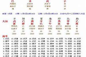 2019运程八字测算(八字运势2019年)