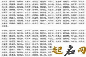 陈取名字大全男孩2020(2017陈起名字大全男孩)