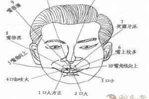 口舌在算命里什么意思(口含舌面相)