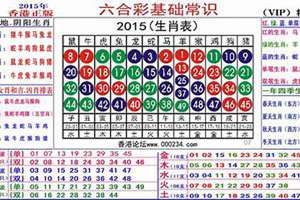 12生肖排行表2024(12生肖排行表)