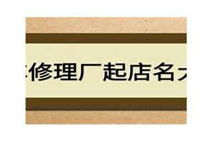 修理厂起名大全动物名字(修理厂起名大全)