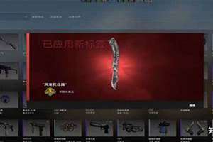 csgo给刀起名字生草(csgo给刀起名字)