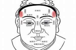 古今人物面相特征介绍(古今人物面相特征)