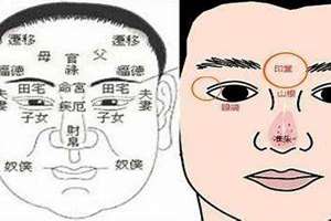 做生意看面相俗语有哪些(做生意看面相俗语)