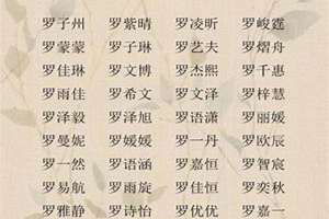 姓罗起名字大全(姓罗起名字)