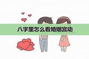 婚姻宫是日支还是月支(婚姻宫)