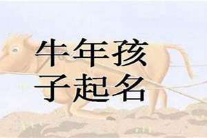 姓牛起名字(姓牛起名)