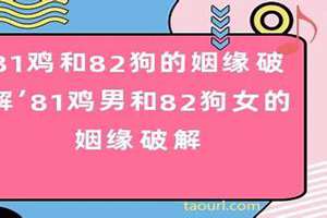 81鸡男婚姻状况(81鸡男婚姻)