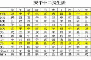 宫起名字男孩(宫起名)