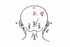 天生反骨是什么面相的人(天生反骨是什么面相)