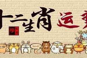 2017属猪的命运(2017属猪人的婚姻)