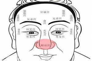 人的财帛宫在哪里(人面相财帛宫在哪里)